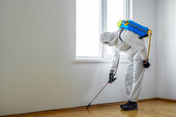 Best Pest Prevention Services  in Chadron, NE