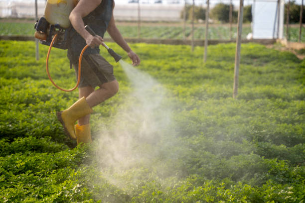 Best Best Pest Control Companies  in Chadron, NE