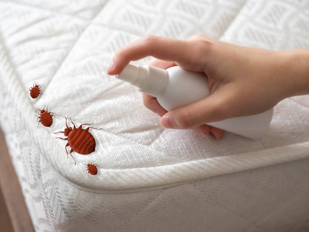 Best Best Pest Control Companies  in Chadron, NE