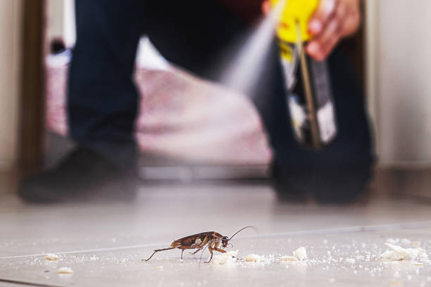 Reliable Chadron, NE Pest Control Solutions